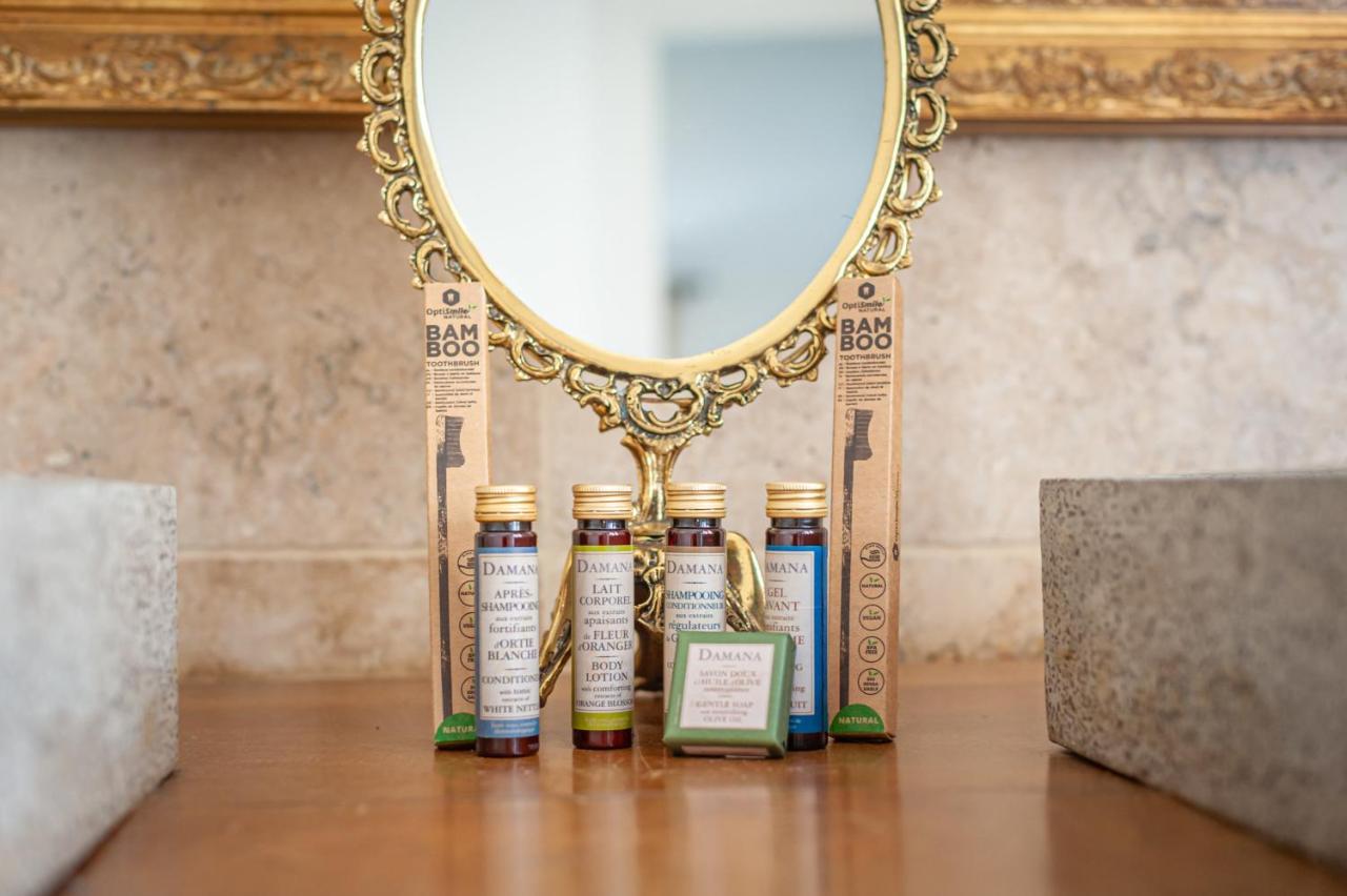 Chateau Des Ayes - Chambres & Suites Saint-Etienne-de-Saint-Geoirs Ngoại thất bức ảnh