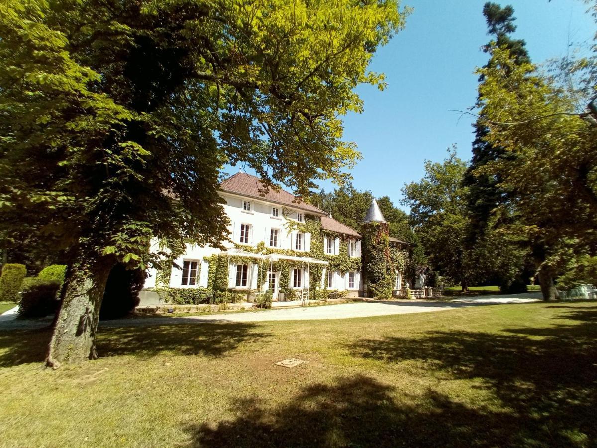 Chateau Des Ayes - Chambres & Suites Saint-Etienne-de-Saint-Geoirs Ngoại thất bức ảnh